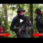 photo_2025-05-01_15-30-47