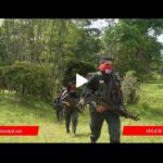 photo_2025-06-18_22-17-25