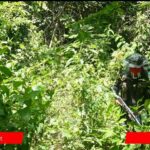 photo_2025-07-15_12-43-42