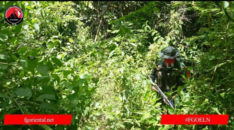 photo_2025-07-15_12-43-42