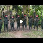 photo_2025-07-31_01-12-15