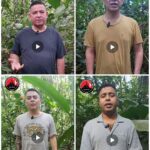 Beige Minimalist Collage Instagram Post